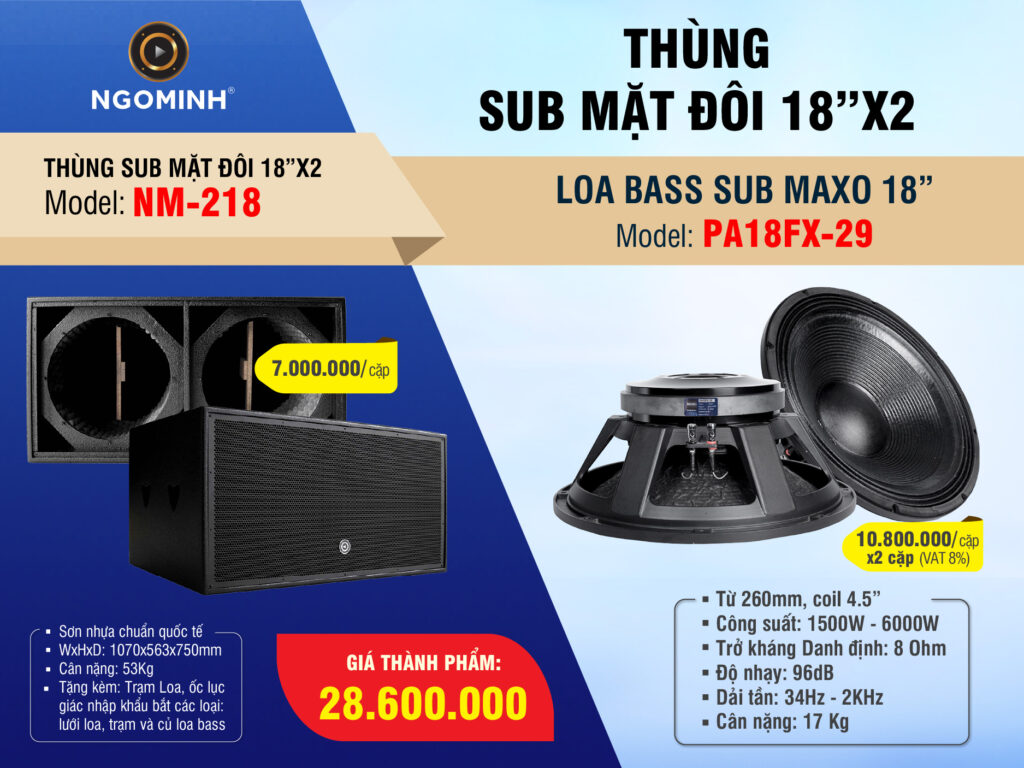 phoi-ghep-thung-loa-sub-ham-don-nm218-loa-bass-pa18fx-29-th12-2025