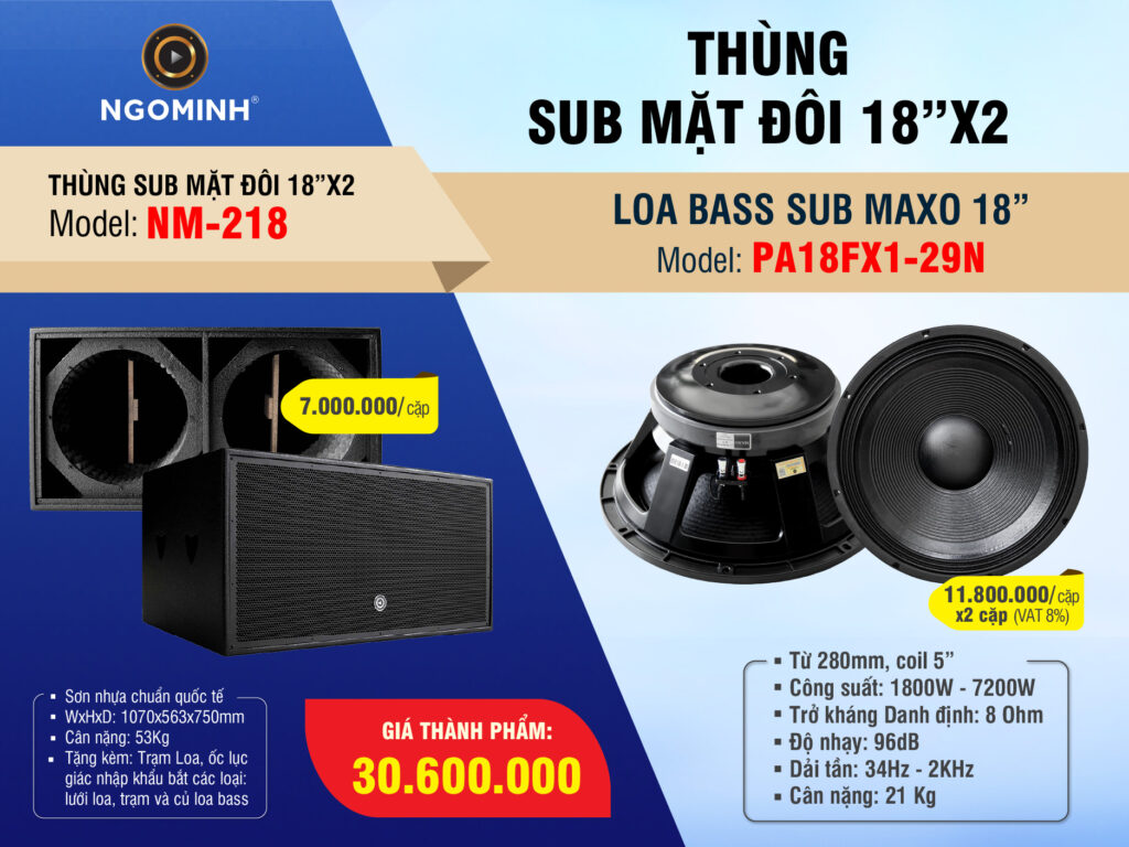 phoi-ghep-thung-loa-sub-ham-doi-nm218-loa-bass-pa18fx1-29n-th12-2025