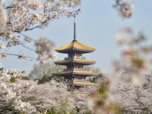NHẬT BẢN: TOKYO – NÚI PHÚ SĨ – NAGOYA – KYOTO - KANSAI (6N5Đ) [VN]