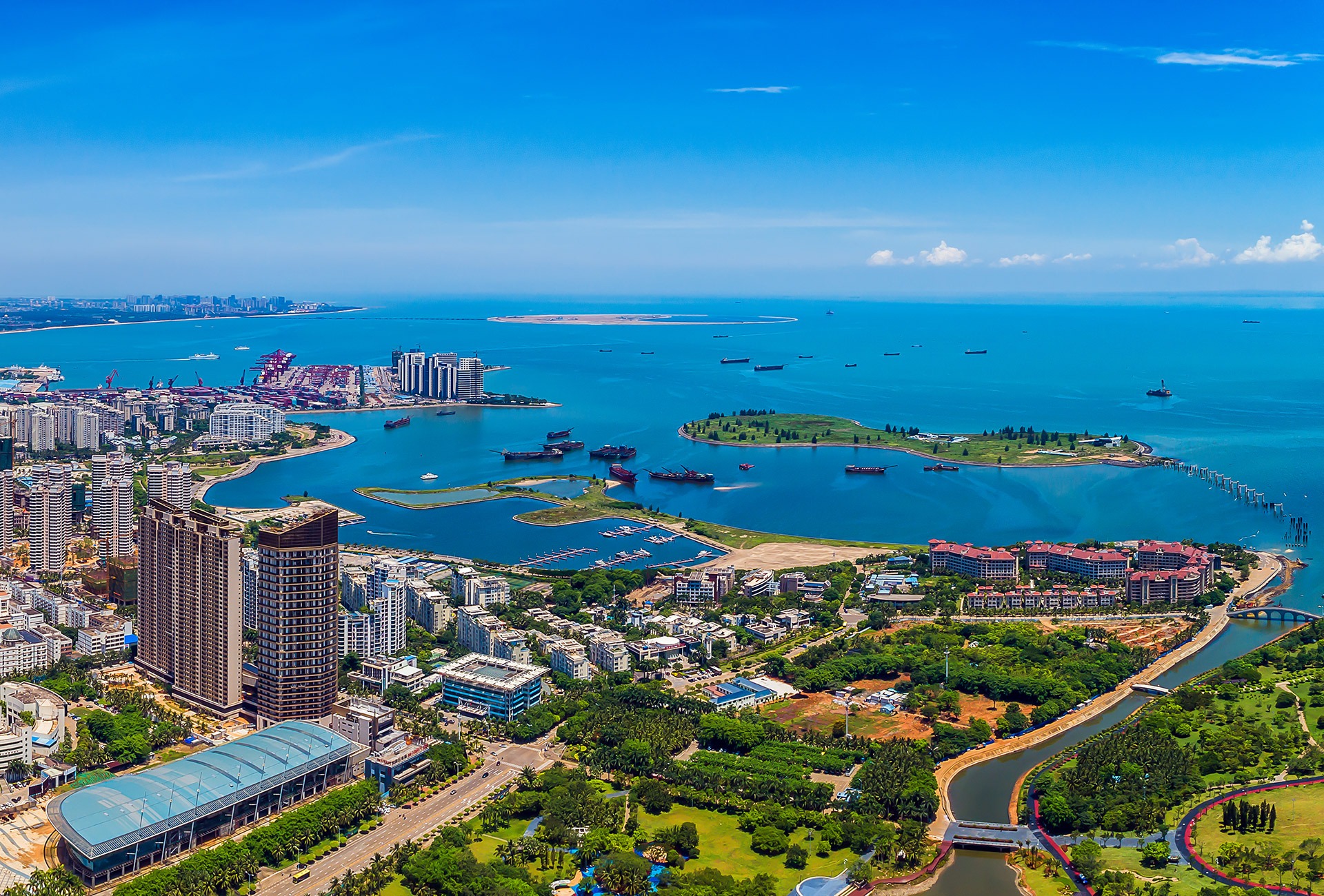 hai-hoa-dao-hai-nam-2